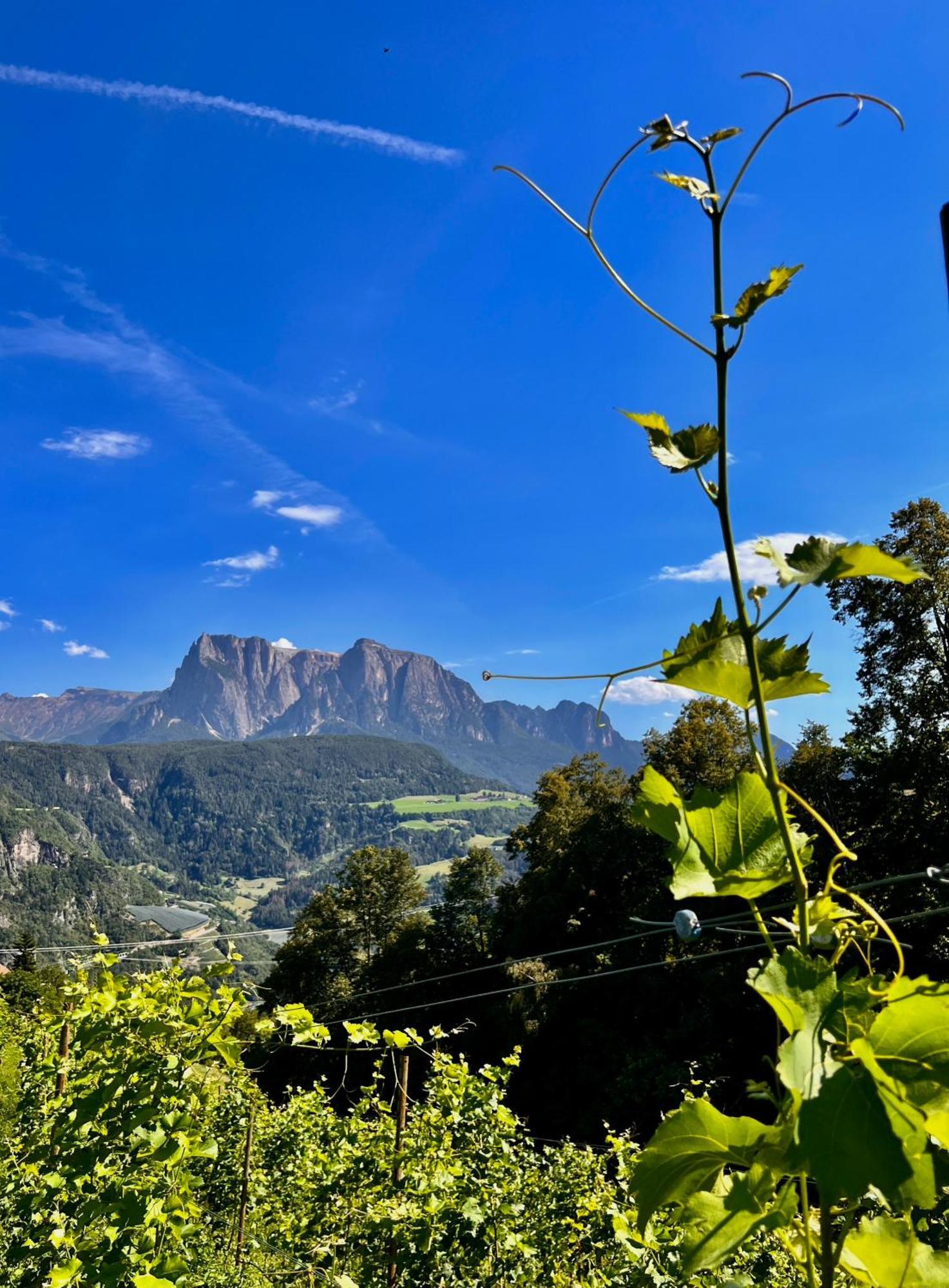 Gasserhof Barbiano  Luaran gambar