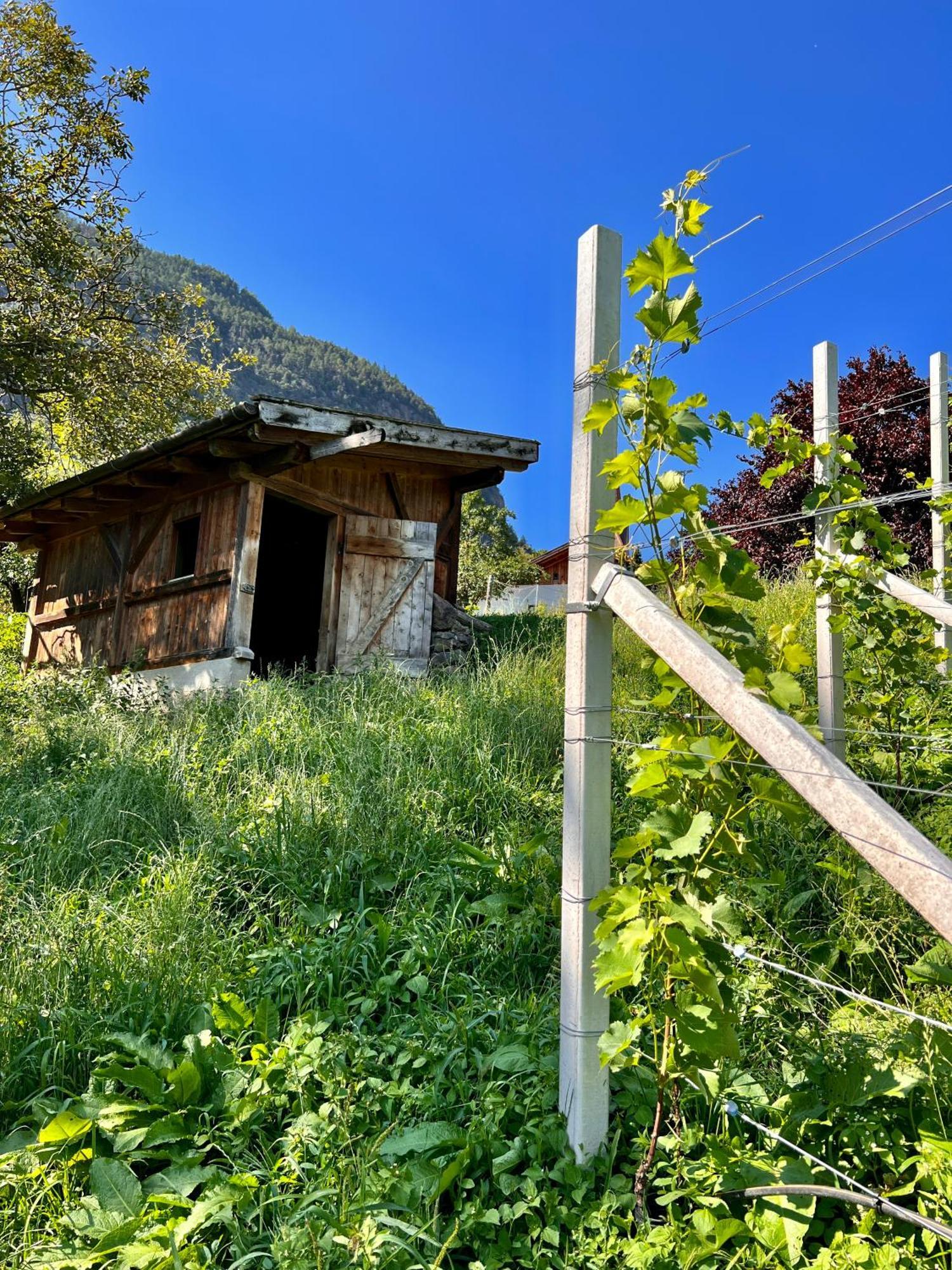 Gasserhof Barbiano  Luaran gambar